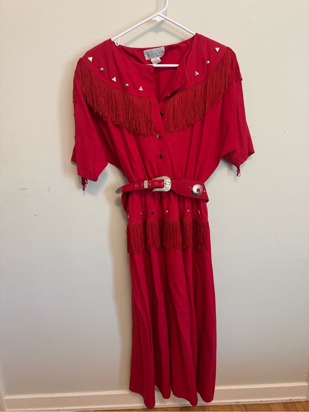 Incredible vintage Lilia Smitty Western Fringe Dress